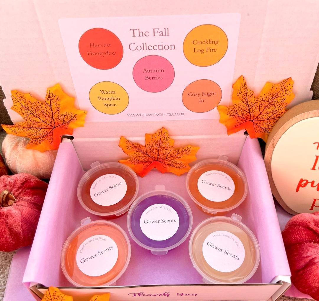 Gel Wax Melts - The Fall Collection