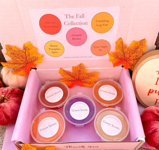 Gel Wax Melts - The Fall Collection