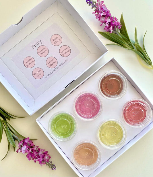 Gel Wax Melts Collection - Fruity!