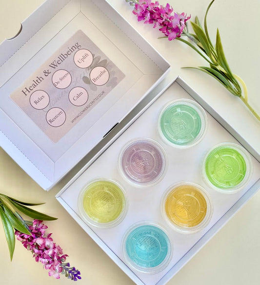 Health & Wellbeing Gel Wax Melt Collection